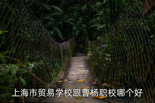 上海市貿易學校跟曹楊職校哪個好