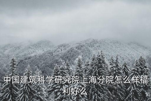 上海建筑科學研究院，你好 我想問問那個 上海市建筑科學研究院
