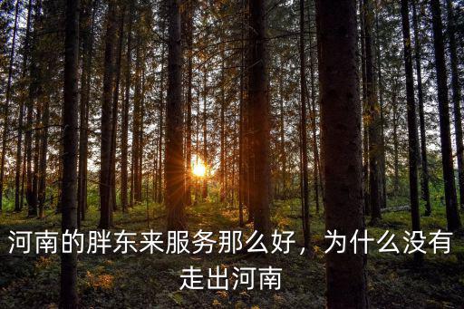 河南的胖東來服務那么好，為什么沒有走出河南