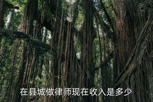 在縣城做律師現在收入是多少