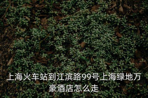 上海火車站到江濱路99號上海綠地萬豪酒店怎么走