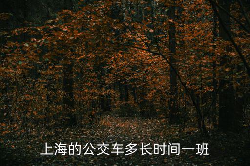 上海公交車，上海的公交車多長時間一班