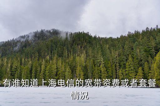有誰知道上海電信的寬帶資費或者套餐情況