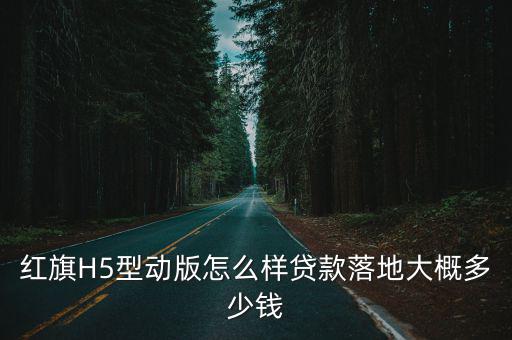 鄭州h5靈動版落地多少錢,紅旗H5多少錢能落地