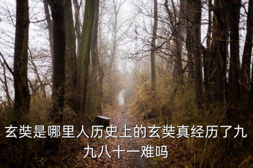 玄奘是哪里人歷史上的玄奘真經(jīng)歷了九九八十一難嗎