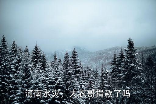 河南水災(zāi)，大衣哥捐款了嗎