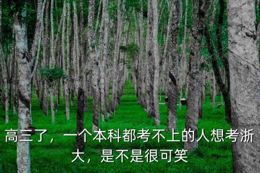 高三了，一個本科都考不上的人想考浙大，是不是很可笑