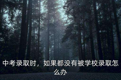 中考錄取時，如果都沒有被學校錄取怎么辦