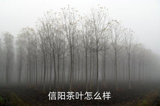 信陽瑪特怎么樣,信陽茶葉怎么樣