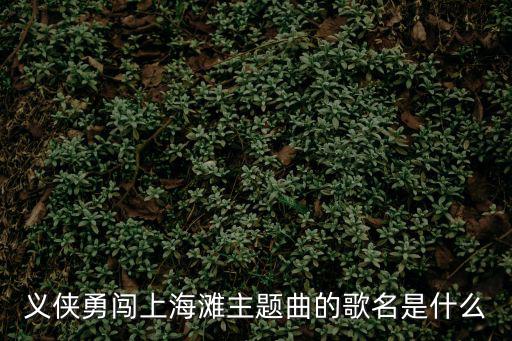 義俠勇闖上海灘，義俠勇闖上海灘主題曲的歌名是什么