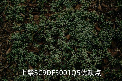 上柴SC9DF3001Q5優缺點