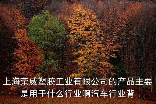上海榮威塑膠工業有限公司的產品主要是用于什么行業啊汽車行業背