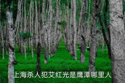 上海砍人，上海殺人犯艾紅光是鷹潭哪里人