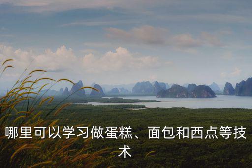 哪里可以學習做蛋糕、面包和西點等技術