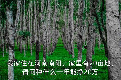 河南五畝地怎么種,在河南給你五畝地你怎么種