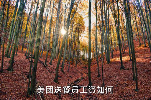 美團(tuán)外賣騎手工資怎么樣洛陽,幾百萬美團(tuán)騎手