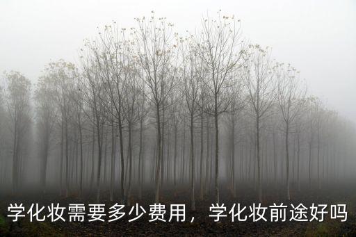 學化妝需要多少費用，學化妝前途好嗎