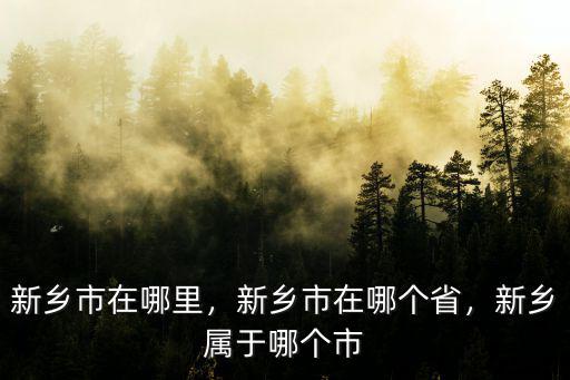 新鄉(xiāng)市未來(lái)城在哪里,新鄉(xiāng)市在哪個(gè)省