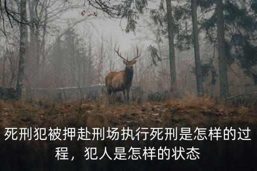 死刑犯被押赴刑場執(zhí)行死刑是怎樣的過程，犯人是怎樣的狀態(tài)