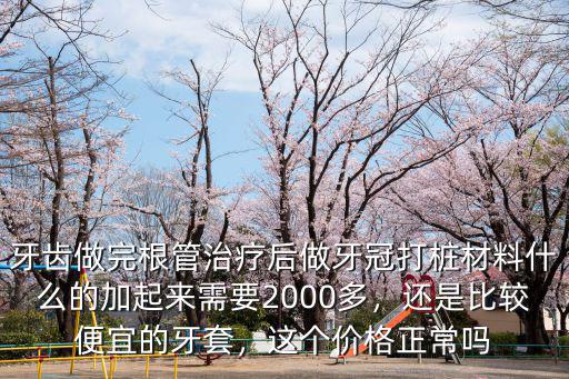 牙齒做完根管治療后做牙冠打樁材料什么的加起來需要2000多，還是比較便宜的牙套，這個價格正常嗎