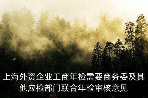 上海商務(wù)委員會(huì)，上海市商務(wù)委員會(huì)是否屬于縣級(jí)