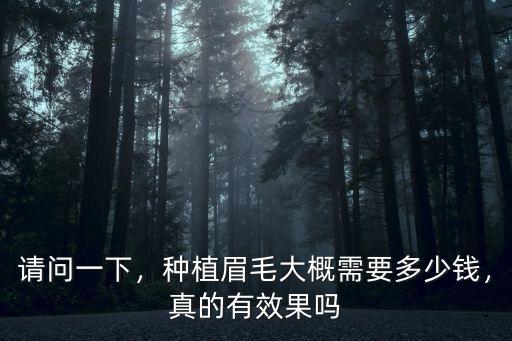 請問一下，種植眉毛大概需要多少錢，真的有效果嗎