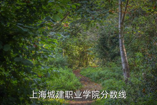 上海城建職業學院分數線