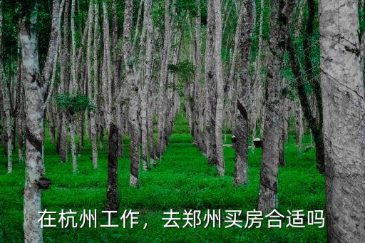 在杭州工作，去鄭州買房合適嗎