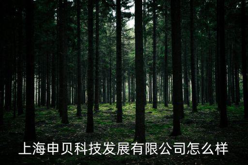 上海申貝科技發展有限公司怎么樣