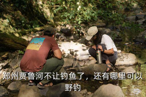 鄭州附近哪里能釣鰱魚,哪里有野釣水庫