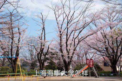 上海海事大學怎樣