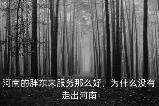 新鄉胖東來超市怎么樣,新鄉的胖東來超市