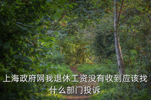 上海政府網(wǎng)我退休工資沒有收到應(yīng)該找什么部門投訴