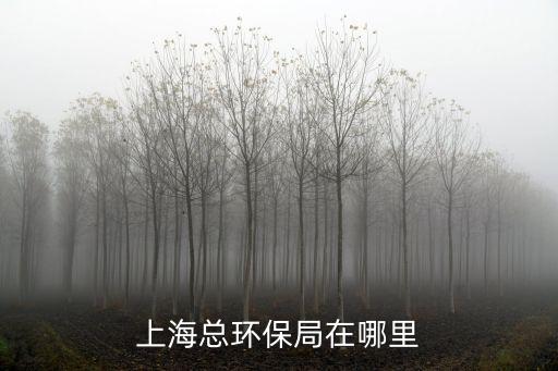 上海總環保局在哪里