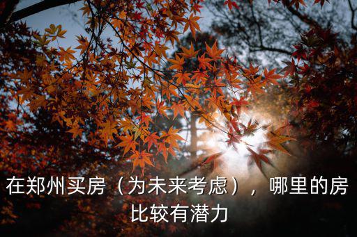 在鄭州買房（為未來考慮），哪里的房比較有潛力