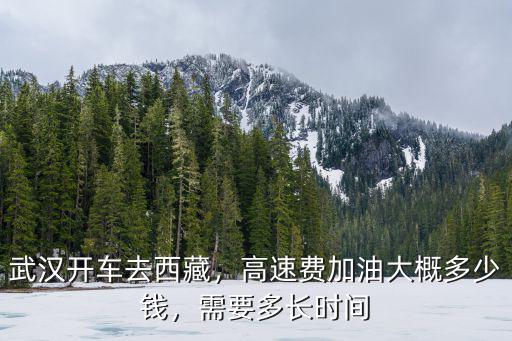 開車南陽到武漢過路費(fèi)多少錢,武漢開車去西藏