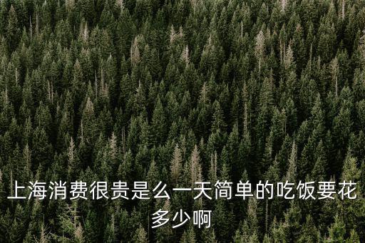 上海消費很貴是么一天簡單的吃飯要花多少啊