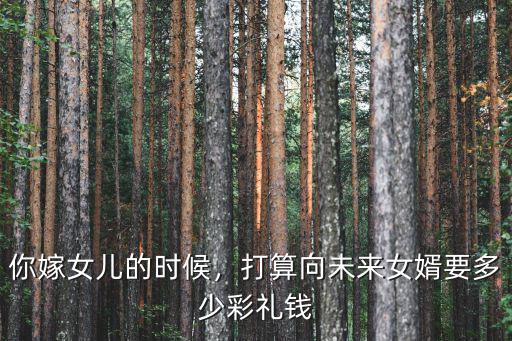 你嫁女兒的時候，打算向未來女婿要多少彩禮錢