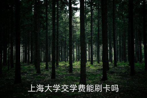 上海大學交學費能刷卡嗎