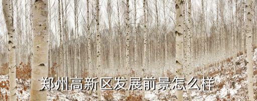 鄭州西區美高科幼兒園怎么樣,鄭州西區前景如何