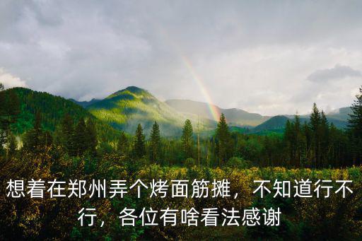 想著在鄭州弄個烤面筋攤，不知道行不行，各位有啥看法感謝