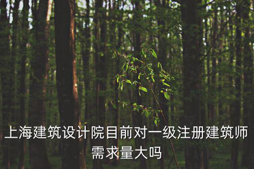 上海建筑設(shè)計(jì)院目前對(duì)一級(jí)注冊(cè)建筑師需求量大嗎