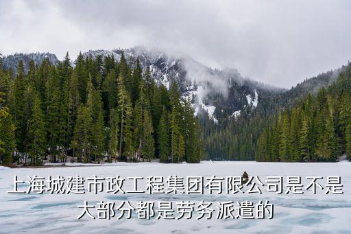 上海城建市政工程集團有限公司是不是大部分都是勞務派遣的