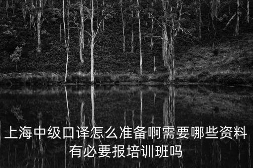 上海中級口譯，上海中級口譯怎么準備啊需要哪些資料有必要報培訓班嗎