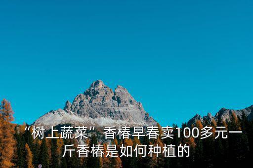 洛陽哪里有賣香椿樹苗的,香椿苗哪里買