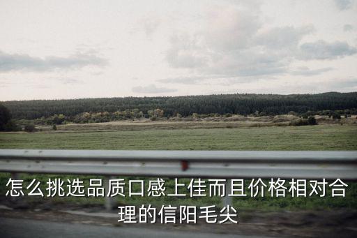 怎么挑選品質口感上佳而且價格相對合理的信陽毛尖