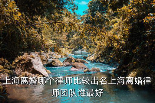 上海離婚哪個(gè)律師比較出名上海離婚律師團(tuán)隊(duì)誰最好