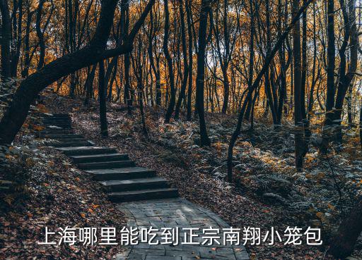 上海哪里能吃到正宗南翔小籠包