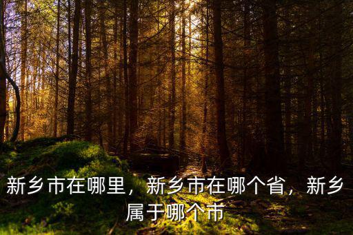 新鄉(xiāng)市在哪里，新鄉(xiāng)市在哪個省，新鄉(xiāng)屬于哪個市