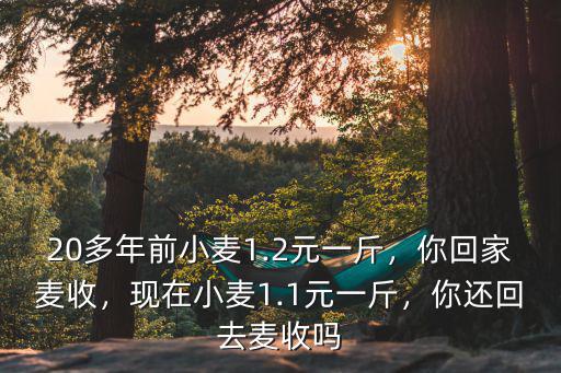 20多年前小麥1.2元一斤，你回家麥?zhǔn)眨F(xiàn)在小麥1.1元一斤，你還回去麥?zhǔn)諉? class=